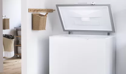 Freezers 1